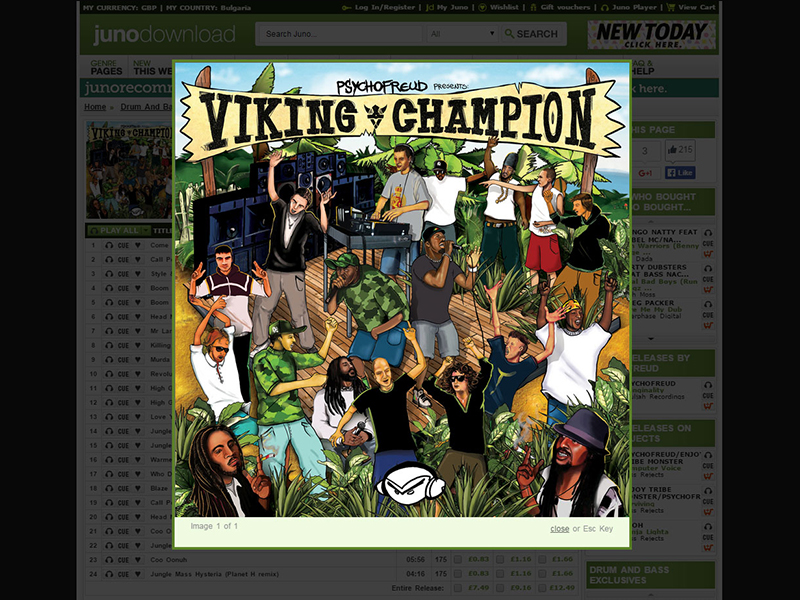 vikingchampion-dribbbbble